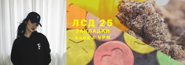 эйфоретик Алзамай